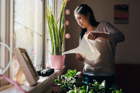 Member watering plants in home